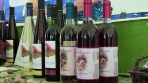 a variety of wine bottles on a table at a wine festival